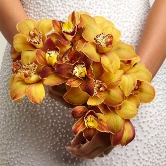 Букет невесты из орхидей «Золотая орхидея»